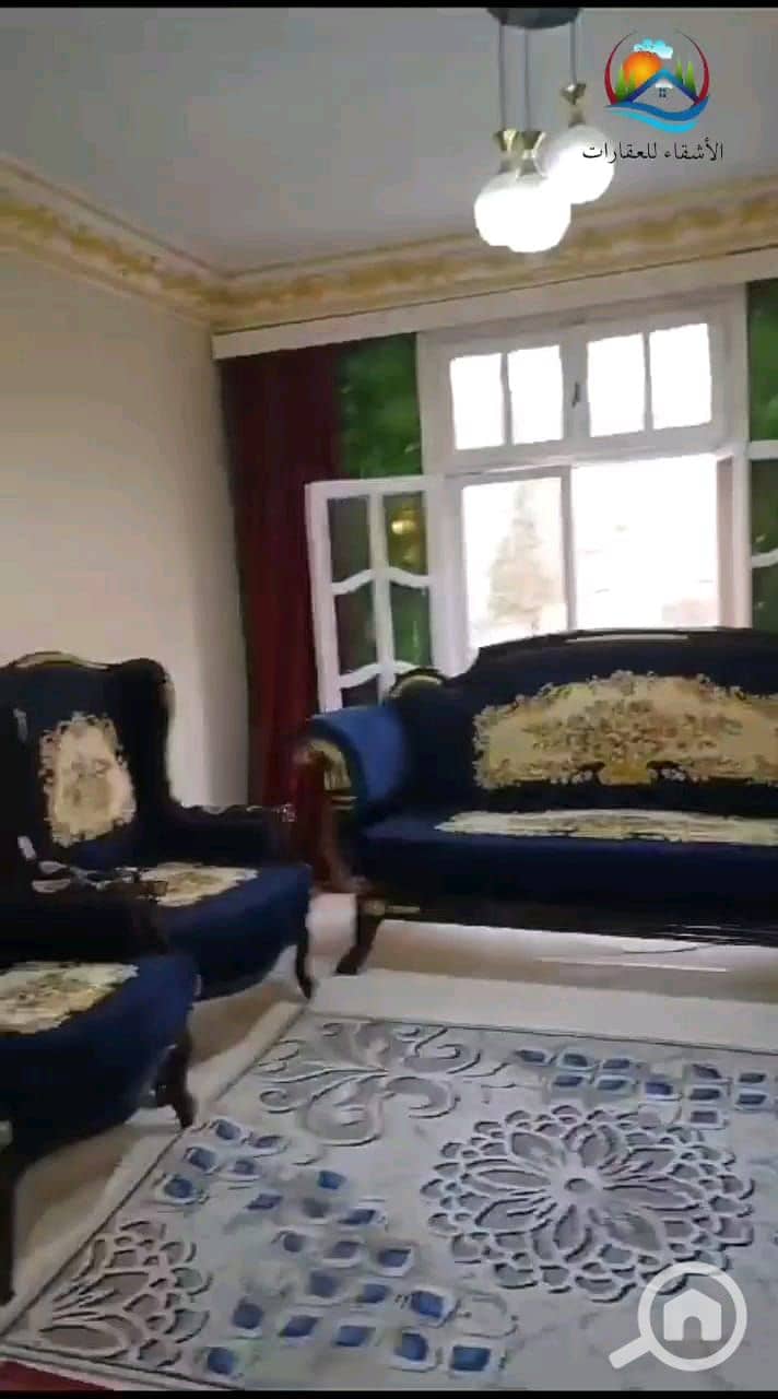 4 1001139391. jpg