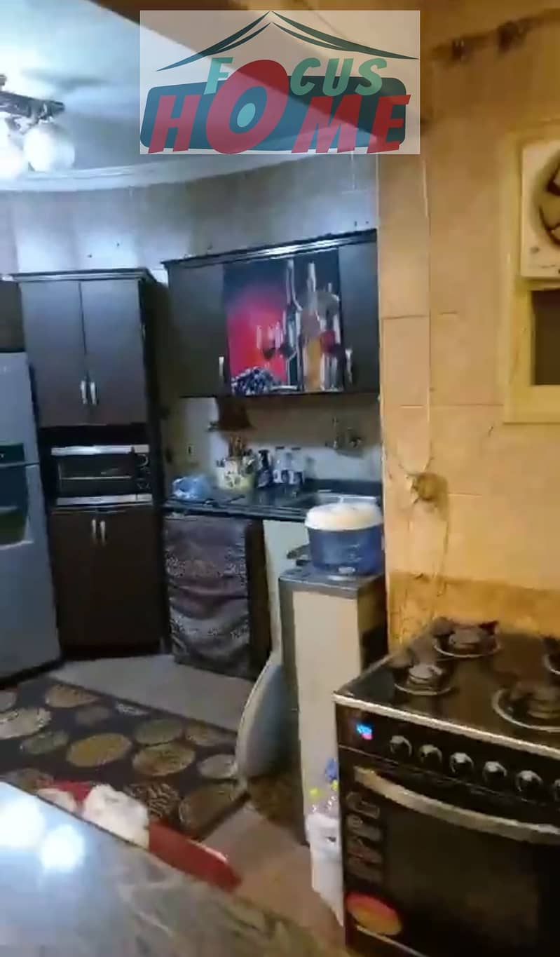 7 1000813053. jpg