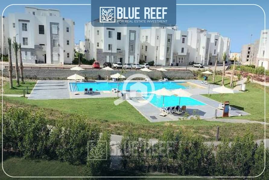 4 0987غفلب. jpg