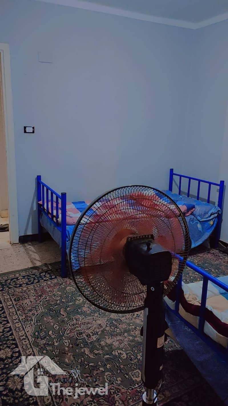 3 1000451113. jpg