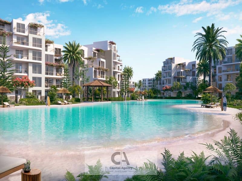 8 0000. png