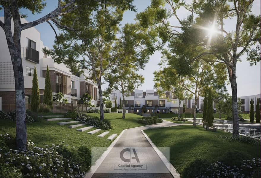 8 11. png