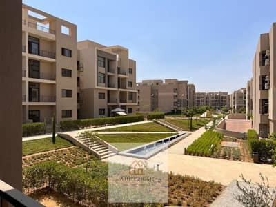 3 Bedroom Flat for Rent in New Cairo, Cairo - 1000803197. jpg 3 Bedroom Flat for Rent in New Cairo, Cairo - 1000803197. jpg