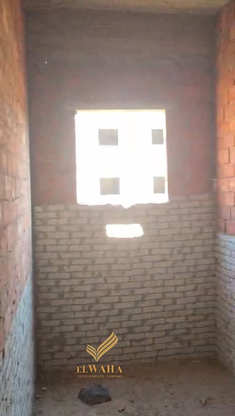 7 1000108397. jpg