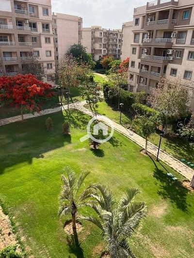 3 Bedroom Flat for Sale in Madinaty, Cairo - 0d3d2d86-4f7a-4ece-b074-0756a8ae4aa8 (1). jpg 3 Bedroom Flat for Sale in Madinaty, Cairo - 0d3d2d86-4f7a-4ece-b074-0756a8ae4aa8 (1). jpg