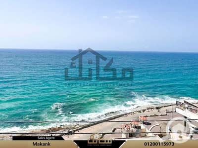 3 Bedroom Flat for Rent in Al Ibrahimiyyah, Alexandria - 692068237_122227299338368538_5145557078519459138_n. jpg 3 Bedroom Flat for Rent in Al Ibrahimiyyah, Alexandria - 692068237_122227299338368538_5145557078519459138_n. jpg