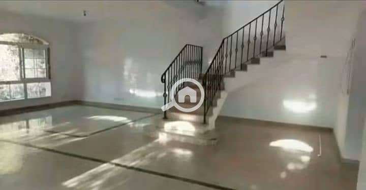 6 1000388311. jpg