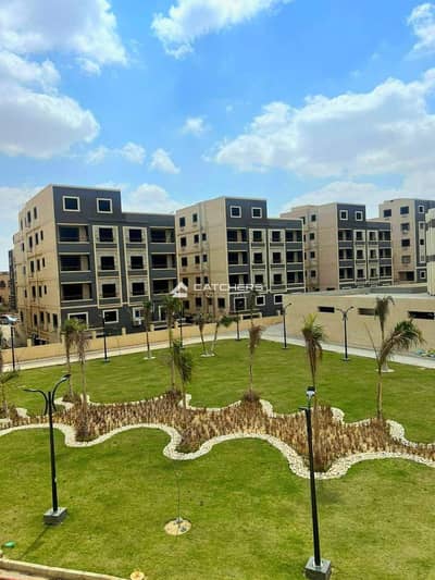 3 Bedroom Flat for Sale in New Cairo, Cairo - WhatsApp Image 2024-08-06 at 2.53. 53 PM. jpeg 3 Bedroom Flat for Sale in New Cairo, Cairo - WhatsApp Image 2024-08-06 at 2.53. 53 PM. jpeg