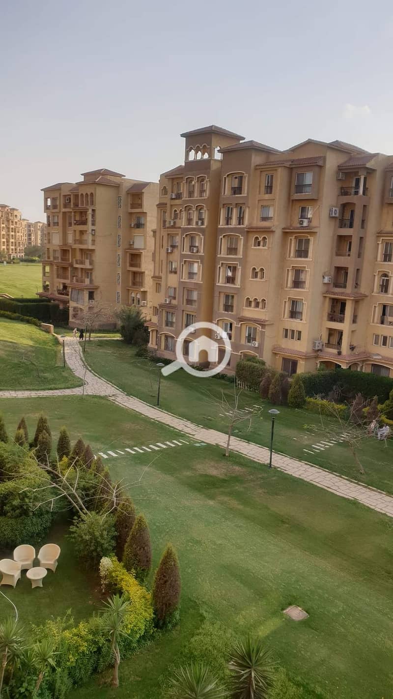 2 1000997448. jpg