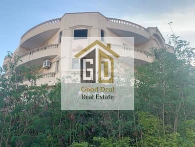 5 Bedroom Flat for Sale in New Cairo, Cairo - 7ae5ac85-83ca-4346-b504-a4e61ccedf0c. jpg 5 Bedroom Flat for Sale in New Cairo, Cairo - 7ae5ac85-83ca-4346-b504-a4e61ccedf0c. jpg