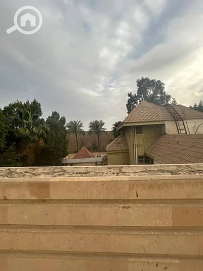 7 Bedroom Villa for Sale in Markaz al-Giza, Giza - 5. jpeg 7 Bedroom Villa for Sale in Markaz al-Giza, Giza - 5. jpeg