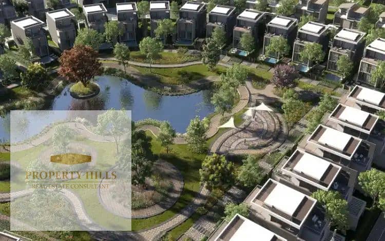6 34176. webp