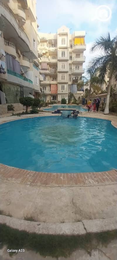 شقة 3 غرف نوم للبيع في النخيل، الإسكندرية - 1000438897. jpg