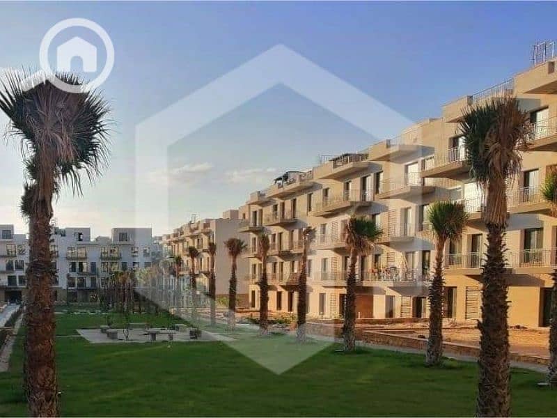 5 Courtyard Sodic 1. jpg