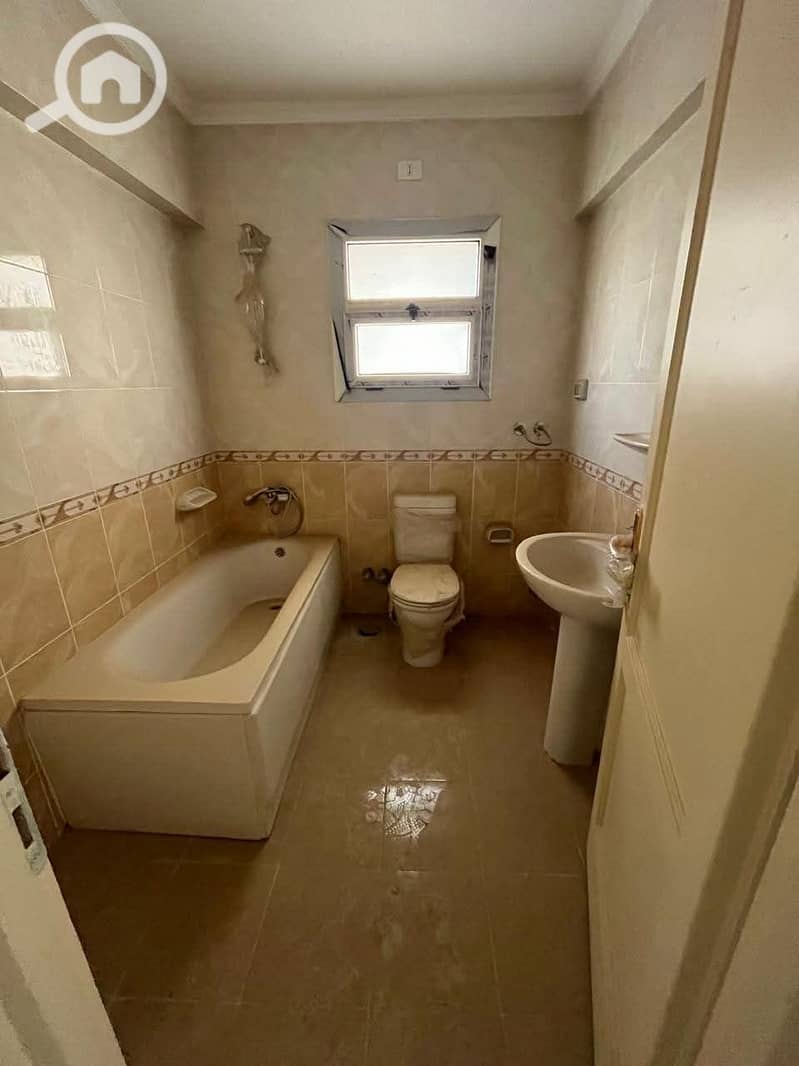4 529230. jpg