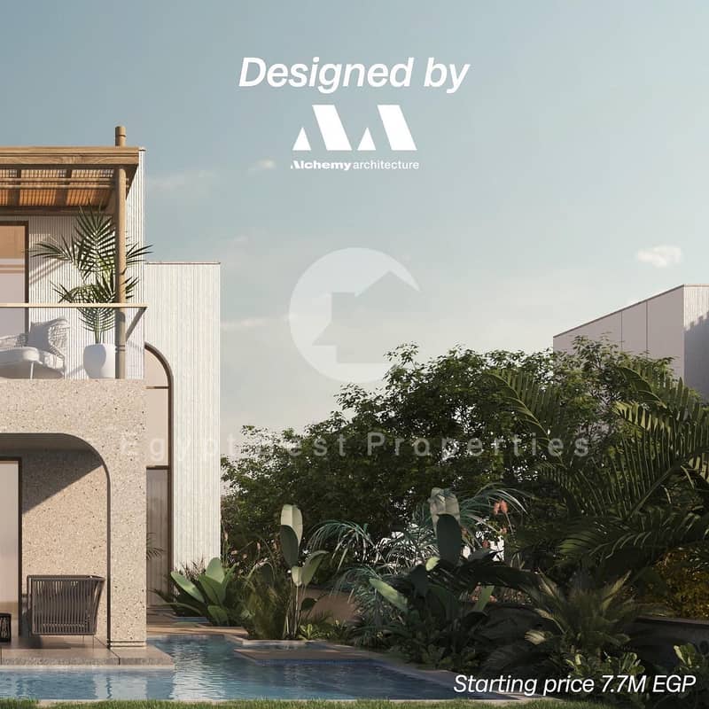 4 66. jpeg