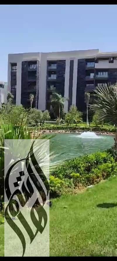 استوديو  للايجار في مدينتي، القاهرة - WhatsApp Image 2026-07-05 at 11.41. 41 AM. jpeg