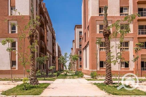 9 دجلة-بالمز-السادس-من-أكتوبر. jpg