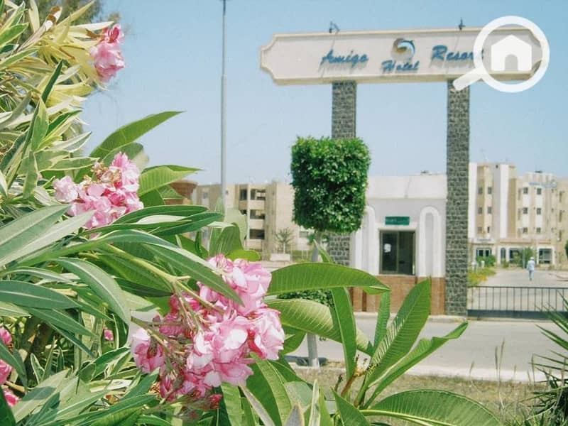6 5. jpg