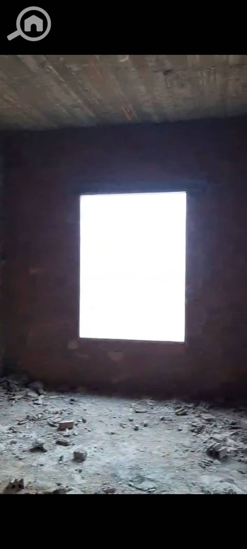 3 1000702646. jpg