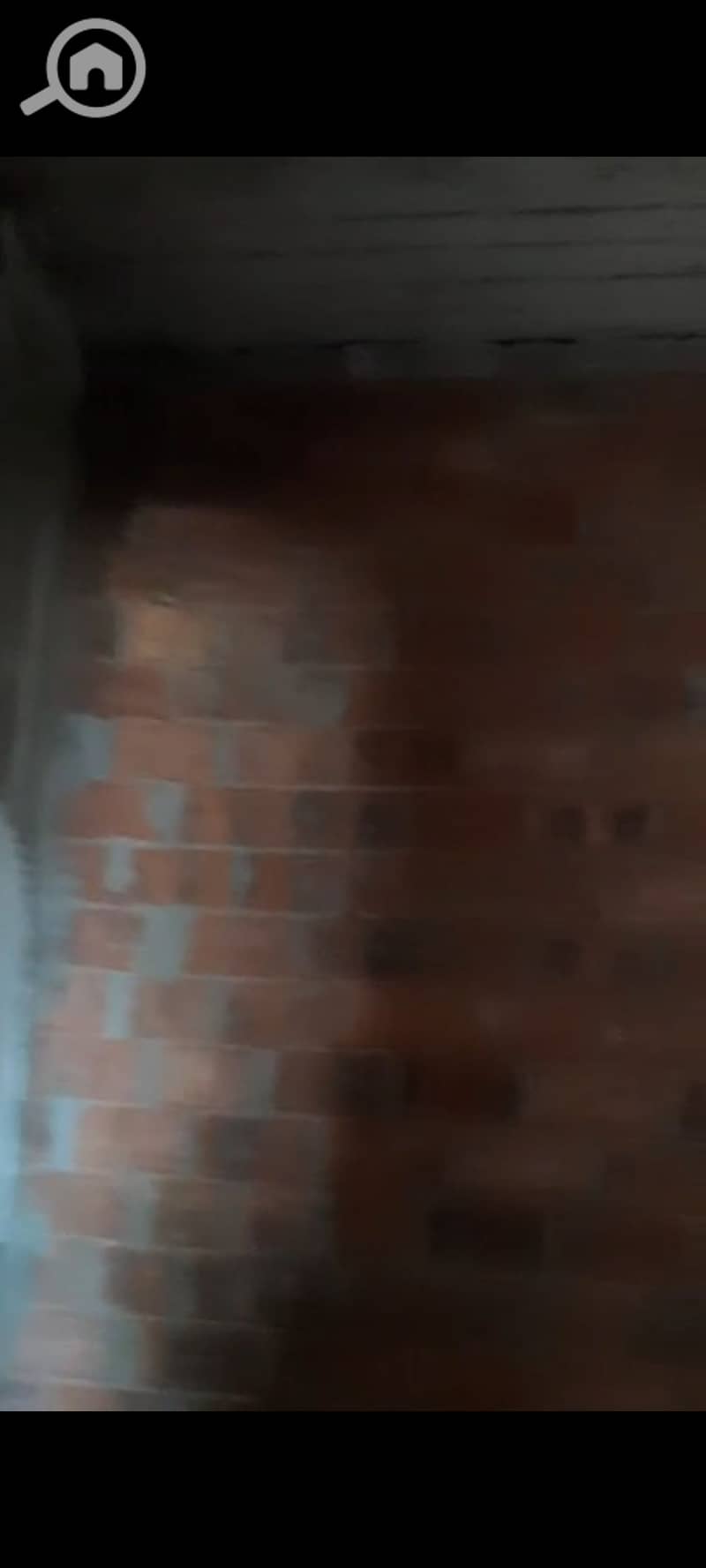 13 1000702656. jpg