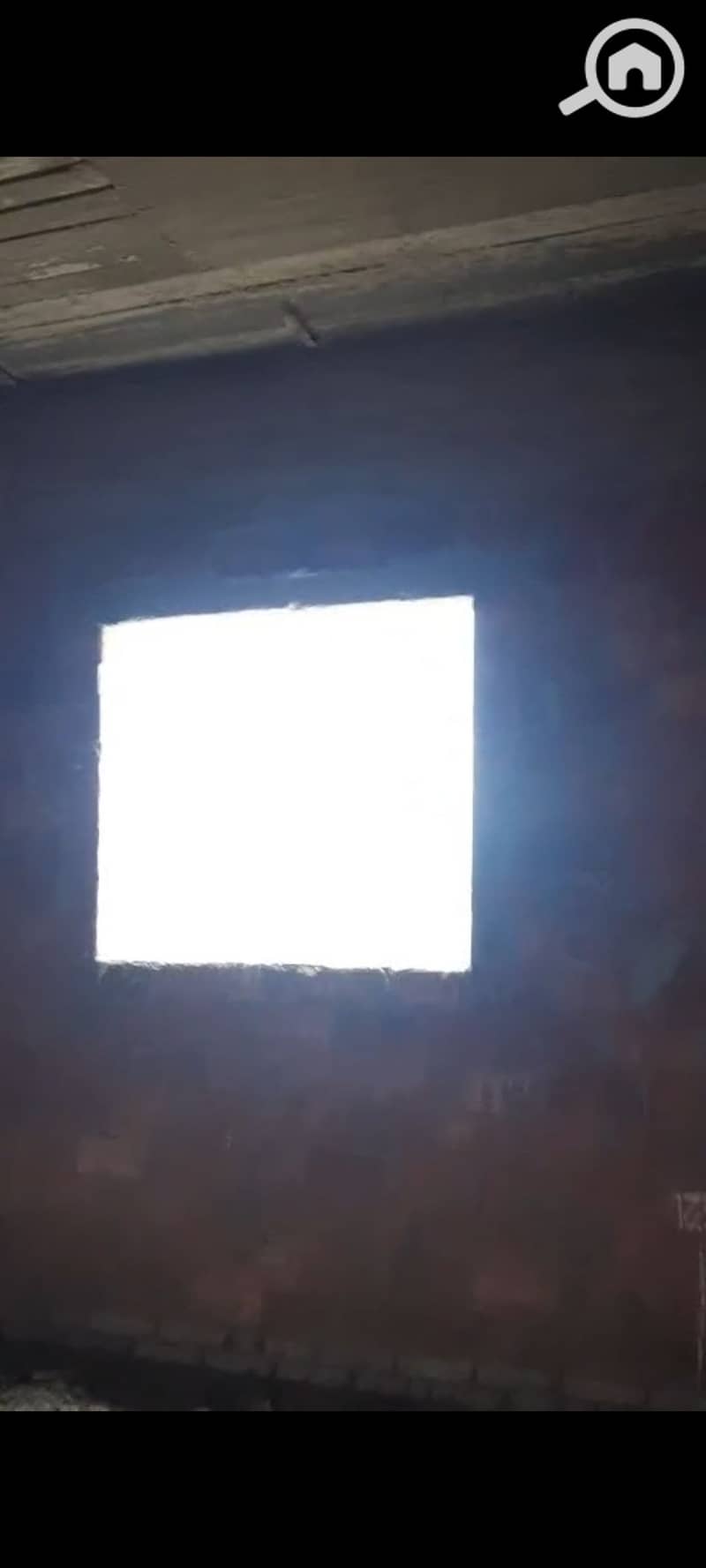 17 1000702660. jpg
