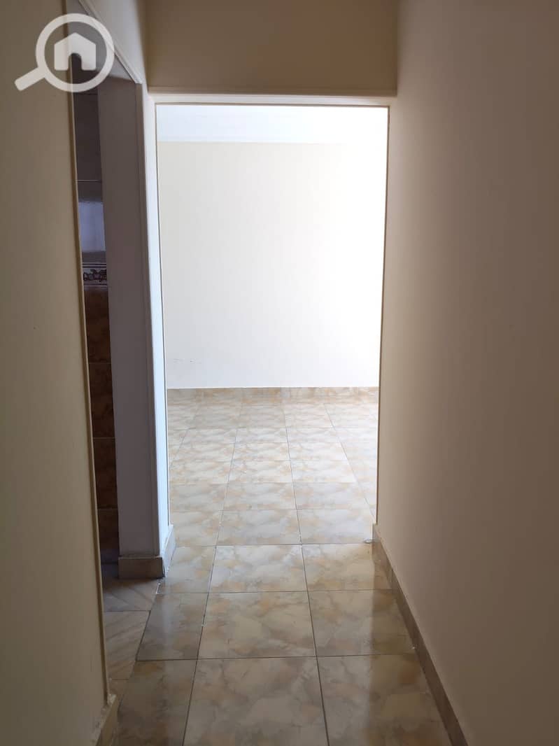 4 380833. jpg