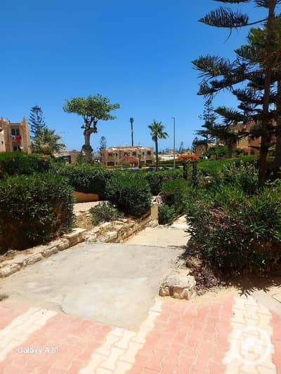 1 Bedroom Chalet for Rent in North Coast, Matruh - 1001073748. jpg