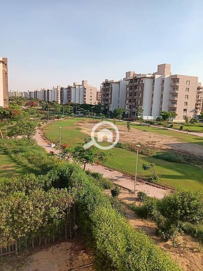 3 Bedroom Flat for Rent in Shorouk City, Cairo - WhatsApp Image 2026-07-07 at 7.18. 19 AM. jpeg 3 Bedroom Flat for Rent in Shorouk City, Cairo - WhatsApp Image 2026-07-07 at 7.18. 19 AM. jpeg