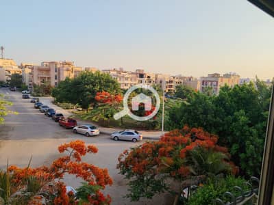 5 Bedroom Flat for Rent in New Cairo, Cairo - WhatsApp Image 2026-07-06 at 7.27. 09 PM. jpeg
