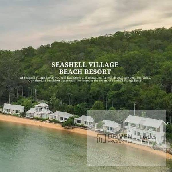 2 seashell (2). jpg