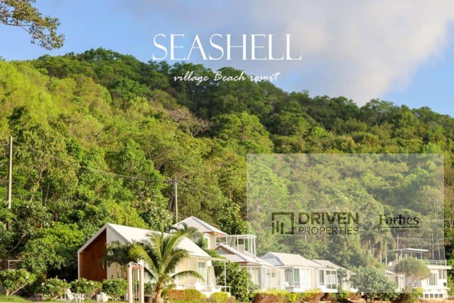 5 seashell (7). jpg