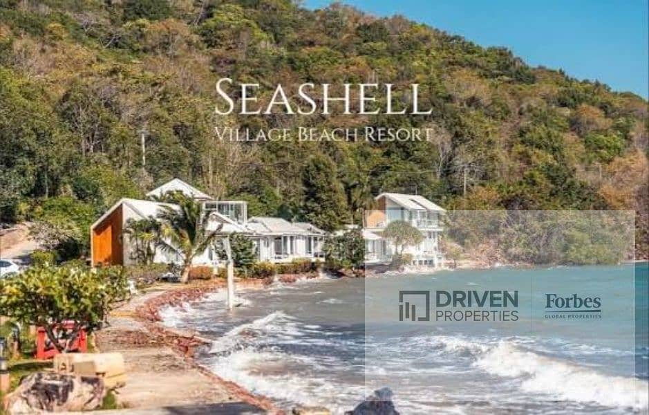 6 seashell (8). jpg