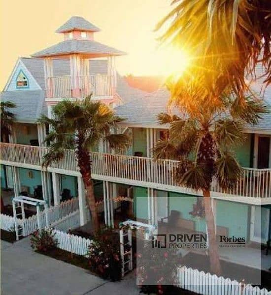 11 seashell (11). jpg