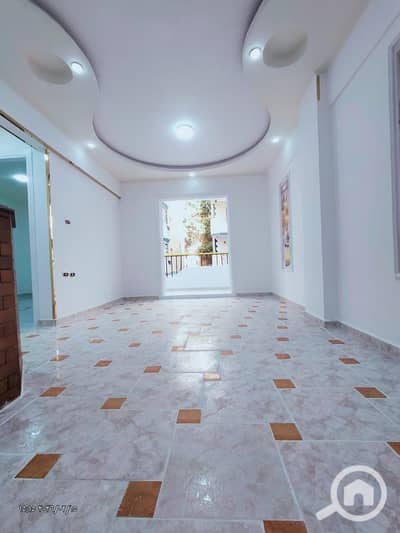 شقة 1 غرفة نوم للبيع في النخيل، الإسكندرية - 1000434684. jpg شقة 1 غرفة نوم للبيع في النخيل، الإسكندرية - 1000434684. jpg