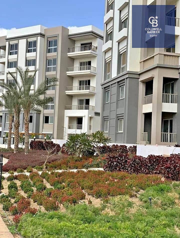8 سصيصيس. jpg