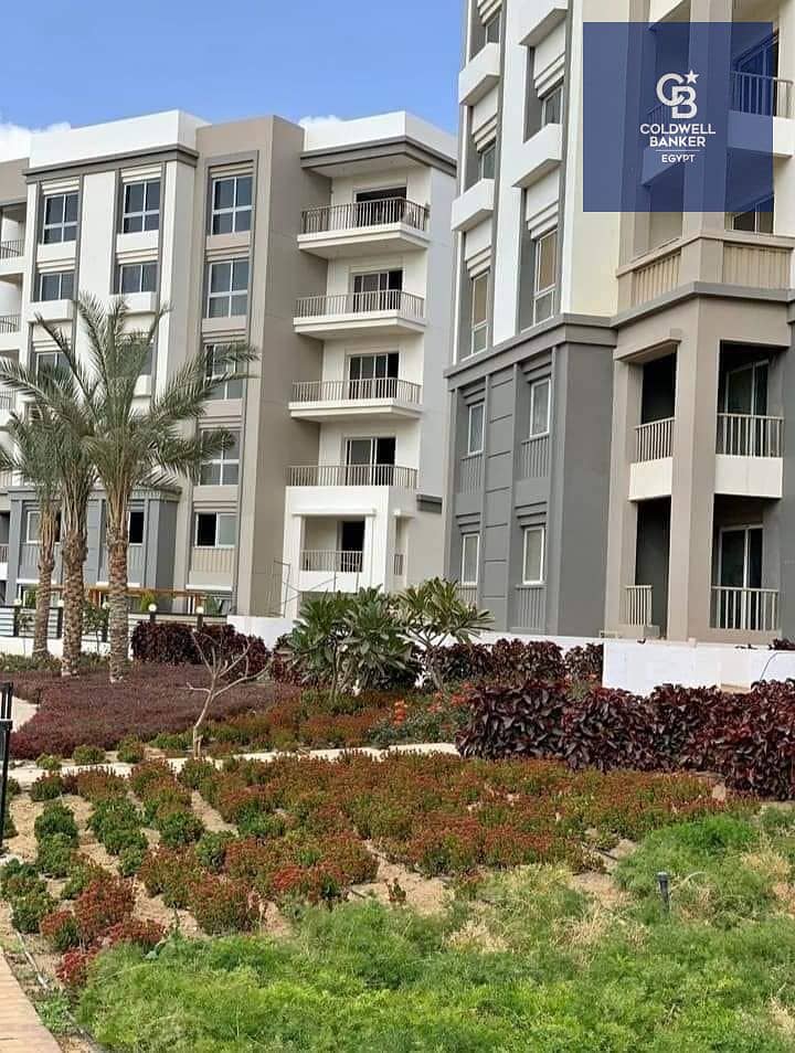 8 لاتيمىؤة. jpg