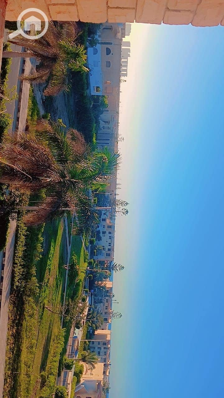 5 121146. jpg