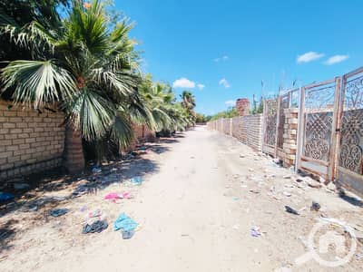 Commercial Land for Sale in King Mariout, Alexandria - 63284. jpg Commercial Land for Sale in King Mariout, Alexandria - 63284. jpg