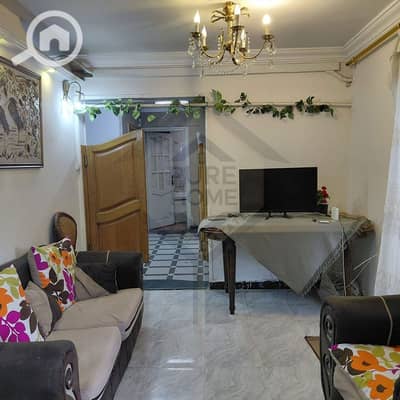 3 Bedroom Flat for Rent in Sporting, Alexandria - 3. jpg 3 Bedroom Flat for Rent in Sporting, Alexandria - 3. jpg
