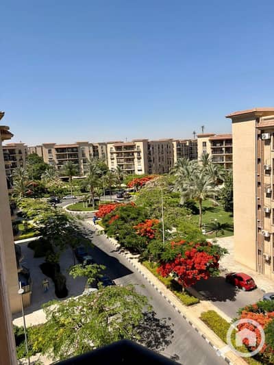 3 Bedroom Apartment for Sale in New Cairo, Cairo - WhatsApp Image 2026-07-08 at 11.40. 39 AM. jpeg 3 Bedroom Apartment for Sale in New Cairo, Cairo - WhatsApp Image 2026-07-08 at 11.40. 39 AM. jpeg