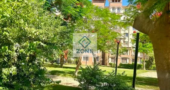 فلیٹ 3 غرف نوم للبيع في مدينتي، القاهرة - ff16f629-8ee9-481f-a317-1889ea3fc119. jpg فلیٹ 3 غرف نوم للبيع في مدينتي، القاهرة - ff16f629-8ee9-481f-a317-1889ea3fc119. jpg