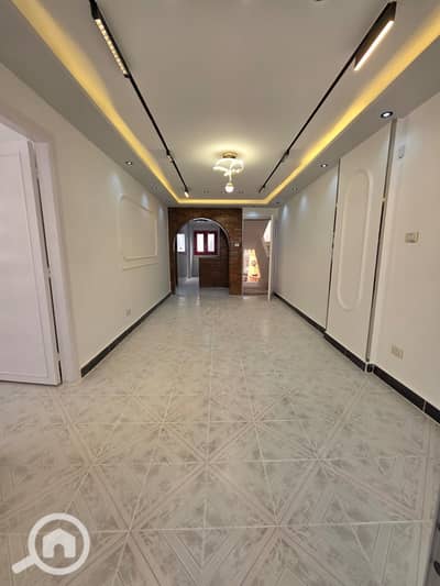شقة 3 غرف نوم للبيع في النخيل، الإسكندرية - 1000440119. jpg شقة 3 غرف نوم للبيع في النخيل، الإسكندرية - 1000440119. jpg