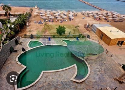 1 Bedroom Flat for Sale in Hurghada, Red Sea - 633837e6-d32e-420d-a7b8-00d386cb6cad. jpg 1 Bedroom Flat for Sale in Hurghada, Red Sea - 633837e6-d32e-420d-a7b8-00d386cb6cad. jpg