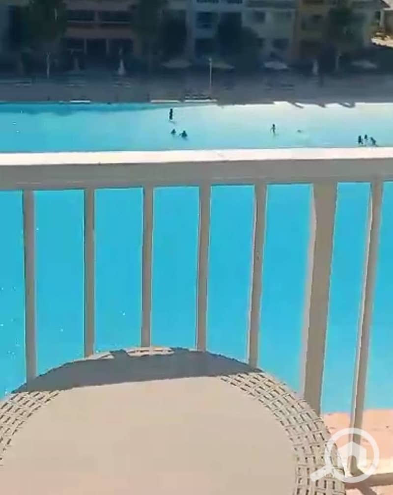 4 741838587_4411636452381369_6632664193328379034_n. jpg