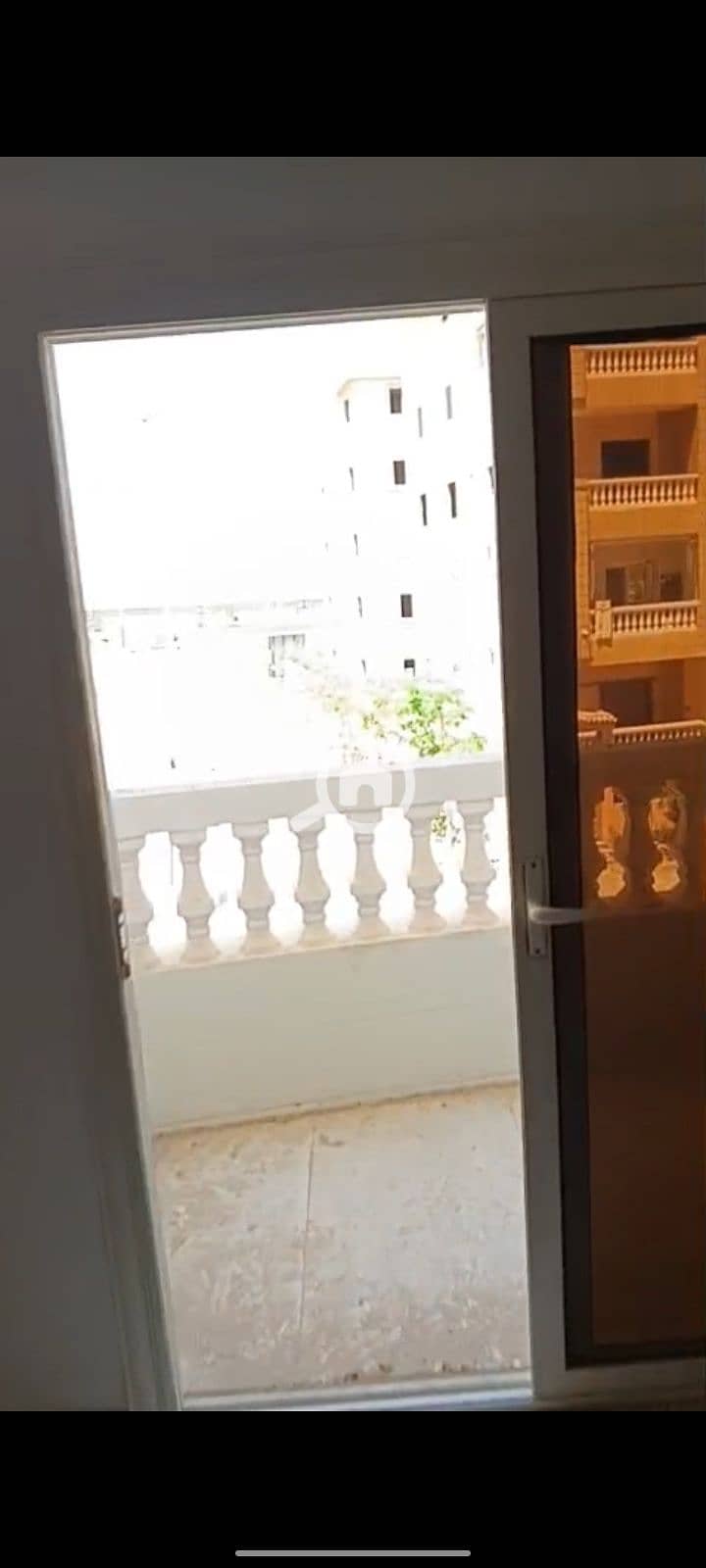 9 27507. jpg