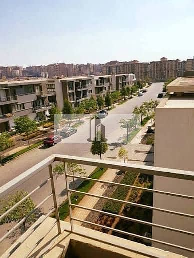 7 images (43). jpg