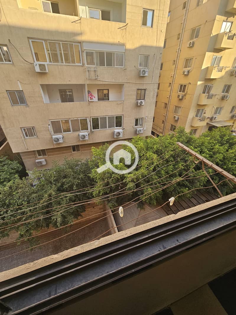 7 383793. jpg