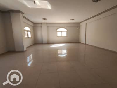 4 Bedroom Apartment for Rent in New Cairo, Cairo - WhatsApp Image 2026-07-06 at 1.13. 36 AM (6). jpeg 4 Bedroom Apartment for Rent in New Cairo, Cairo - WhatsApp Image 2026-07-06 at 1.13. 36 AM (6). jpeg