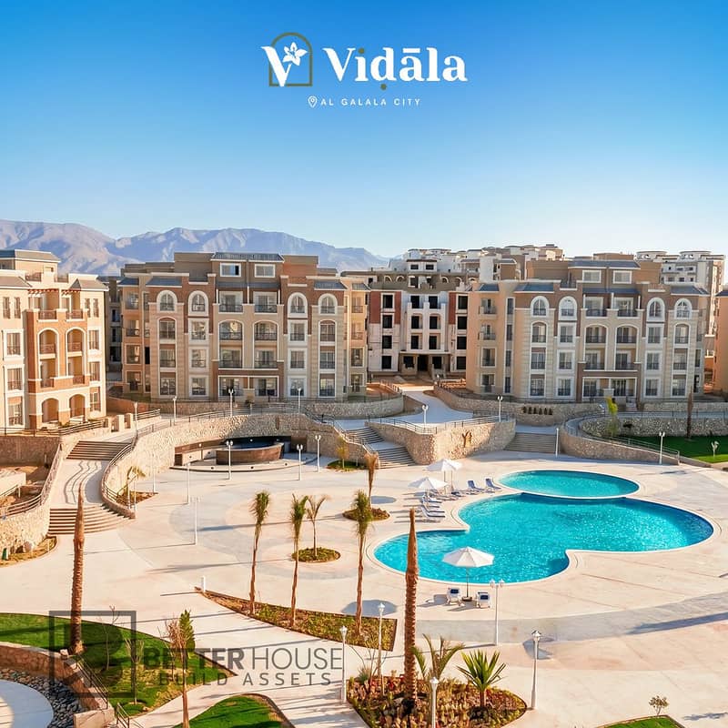 2 Vidala - 27 copy. jpg